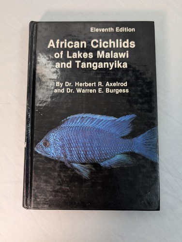 African cichlids lakes malawi - cichlids,