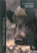 Il Cinghiale - [Il Piviere]