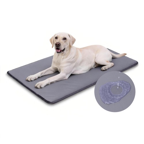 Cuccia cane taglia grande - cane,