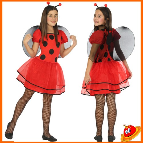 Costume carnevale ragazza - costume,