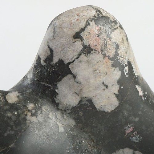 Pietra crisantemo suiseki - pietra, di