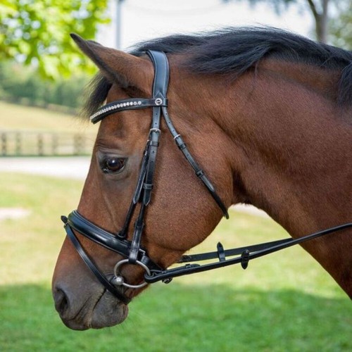 Briglia dressage henri de - dressage,