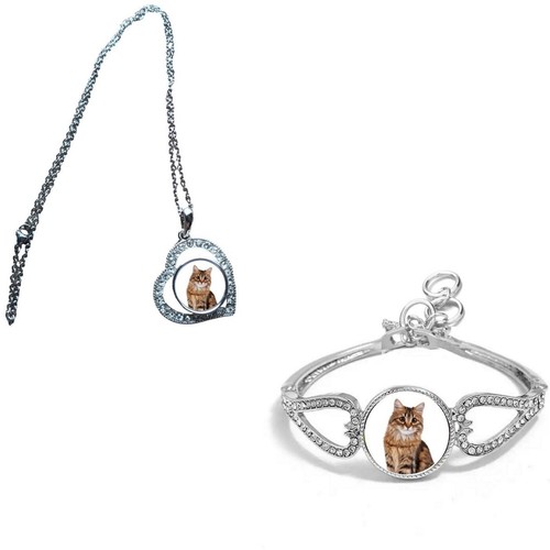 Set siberian cat - 2, pet