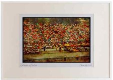 Car Racing 325041 Due Auto