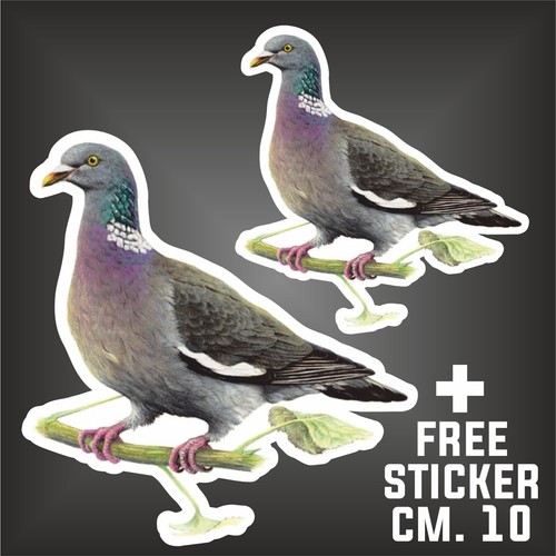 Adesivo colombaccio decal - colombaccio,