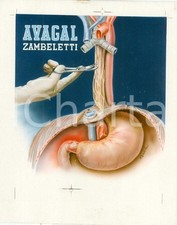 1960 ca ZAMBELETTI Prova