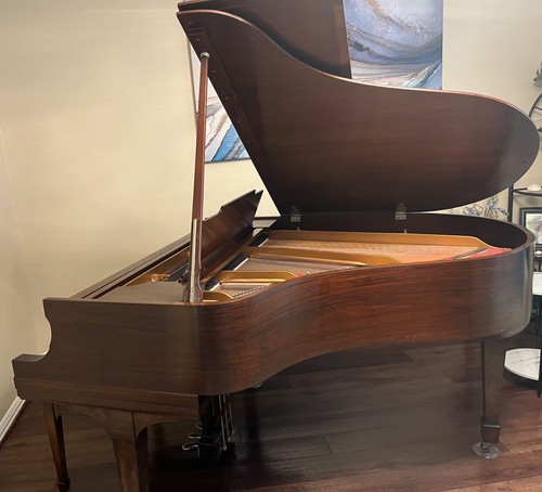 Steinway baby grand - grand, model