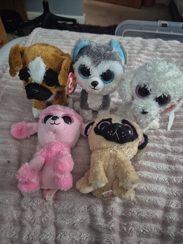 Pacchetto cane beanie boo - ty,
