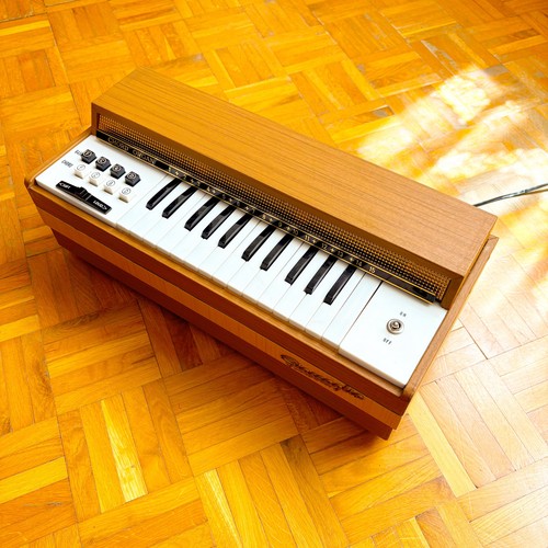 Giaccaglia chord reed organ - giaccaglia,