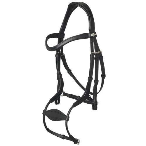 Lemieux arika anatomic - lemieux,