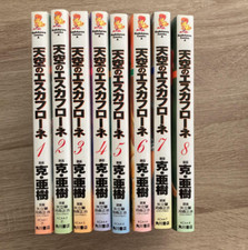 Vision of Escaflowne Japanese