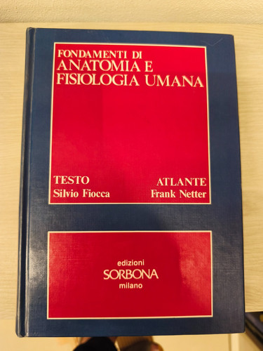 Fondamenti anatomia e - fondamenti,
