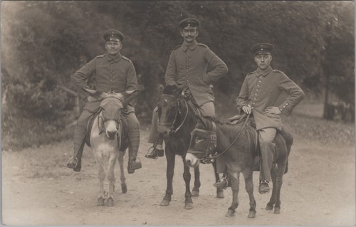 Foto tre soldati asini - foto,,
