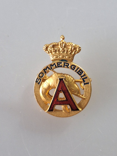 Distintivo smaltato - distintivo,