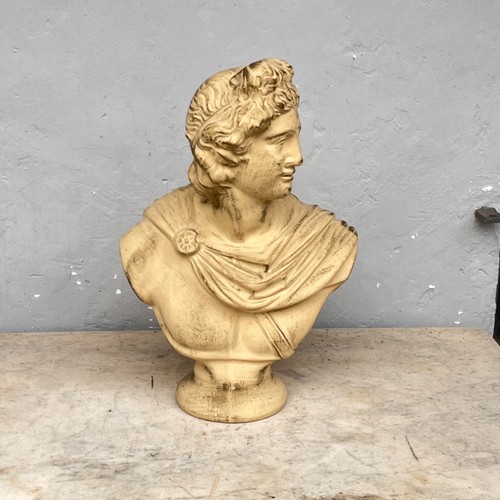 Busto apollo belvedere - apollo,