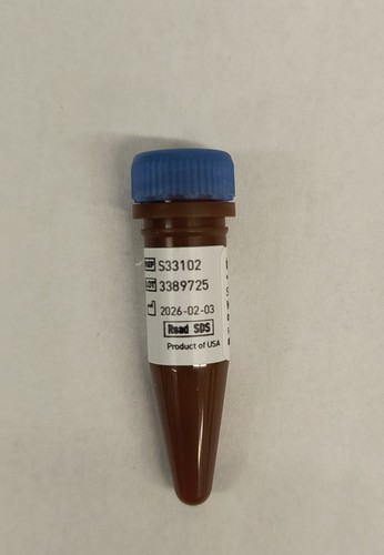 Sybr safe dna - dna, gel