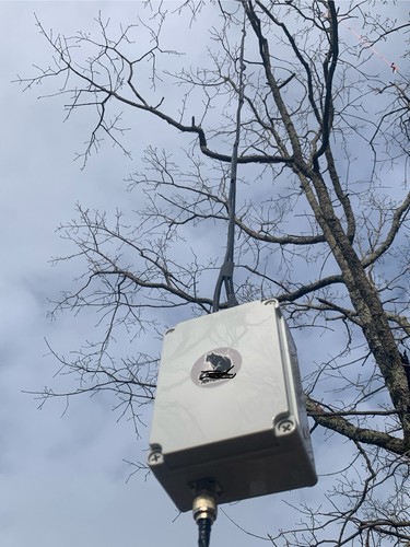 Antenna stazione base - antenna,
