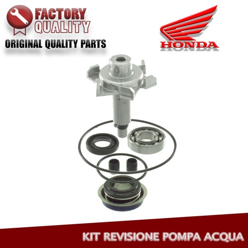 Kit revisione coperchio - kit, pompa