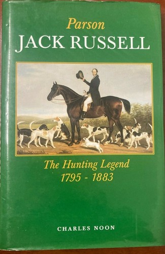 Parson jack russell - jack,