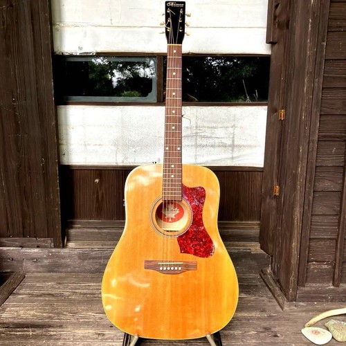 Rare norman acoustic - rare,