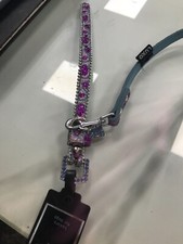 Collare e guinzaglio per cane