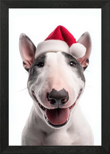 Bull Terrier cane con cappello