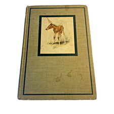 Vintage The Red Pony John