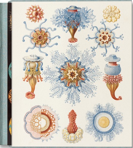 The art and science ernst - science, of