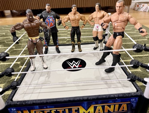 Jakks pacific wwe wrestling - jakks,