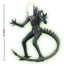 Modelli Agorà Xenomorfo Alien