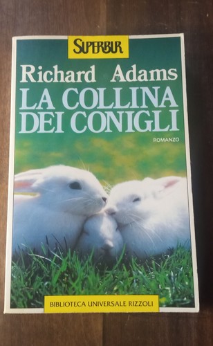 Collina dei conigli - conigli,