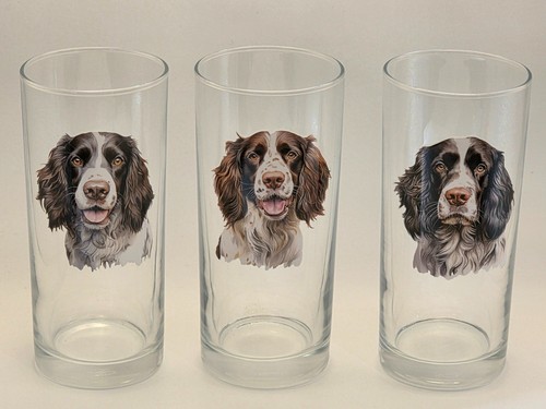 Springer spaniel dog breed - springer,