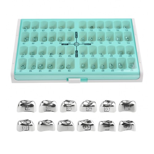 48pz scatola corona dentale - corona,