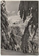 CAMPIGNA - FORLI' - PANORAMA - VIAGG. 1952 -10816-