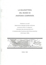 LA BALENOTTERA DEL MUSEO DI ANATOMIA COMPARATA - ROMA 1994