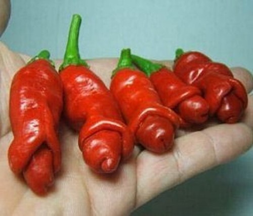 Peter pepper 000 - pepper,, 10.000