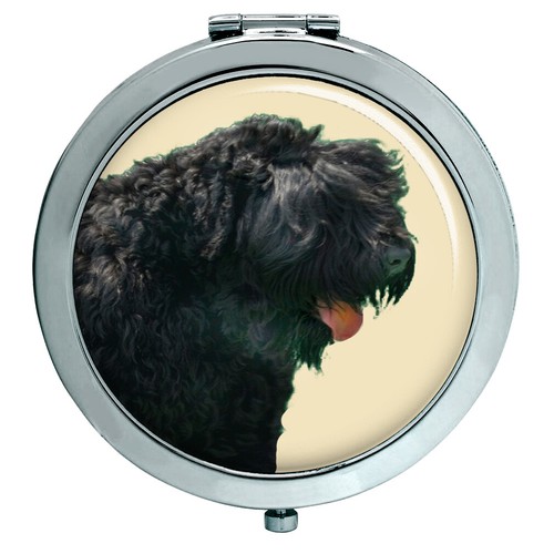 Nero russo terrier specchio - terrier,