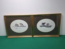 Robin & Wren incorniciato con