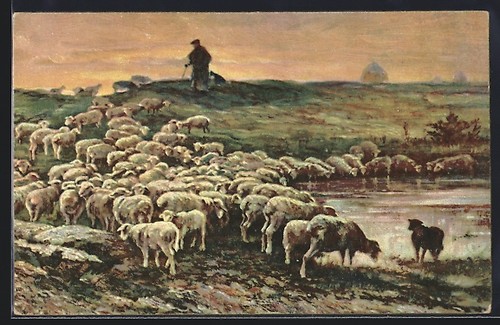 Cartolina artista stengel - cartolina, d'artista