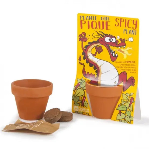 Kit semina peperoncino - di,