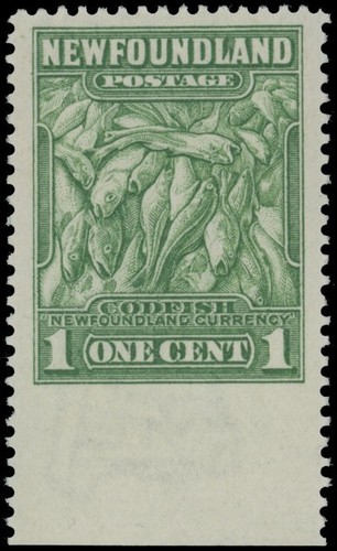1932 canada terranova merluzzo - canada-terranova,