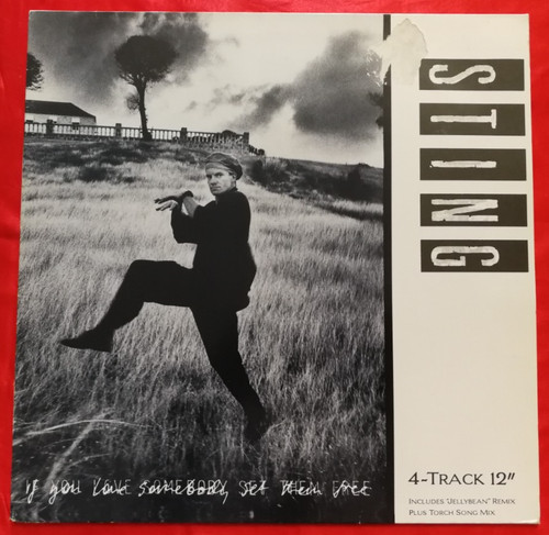 Sting you love somebody - love,