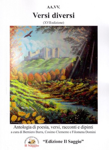 Libro versi diversi - libro,