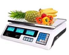 Bilancia Elettronica