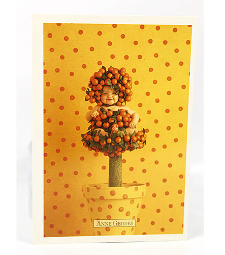 1995 anne geddes vintage - 1995,