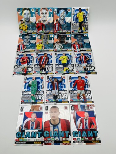 Panini fifa world cup - fifa,