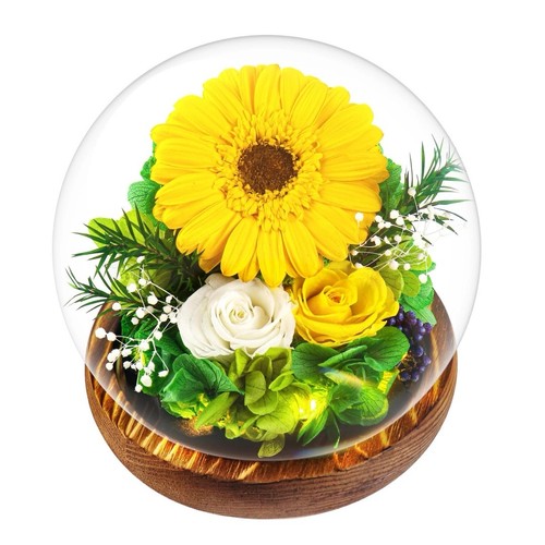 Cupola vetro girasole - in, di