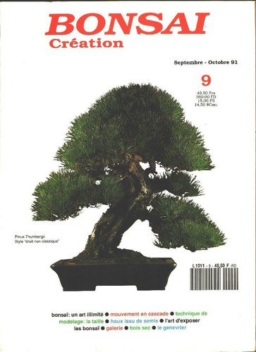 Bonsai creation 9 - bonsai,
