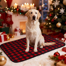 Coperta Riscaldante per Gatti