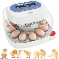 12 uova incubatrice